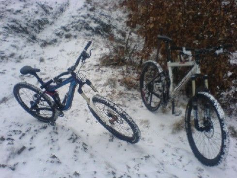 Pitch im Schnee
