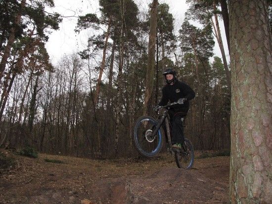 gänswercher in Action