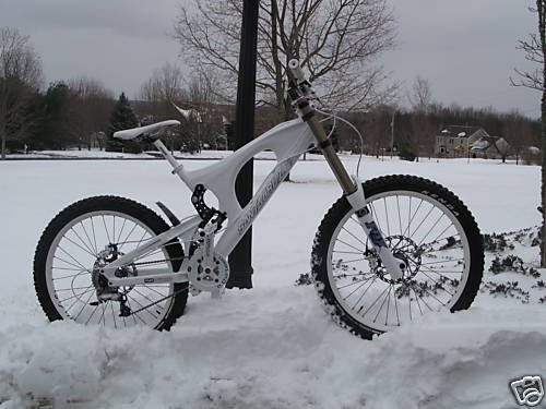 santa cruz v10