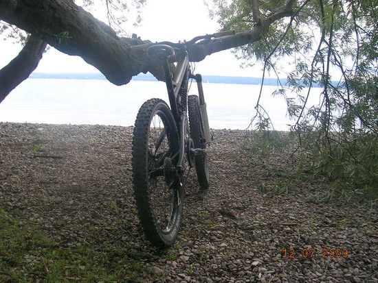Canyon Torque 7.0 2009