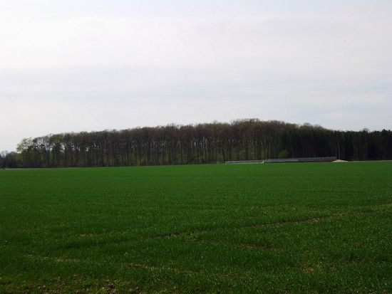 Oberkrüchtentour