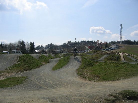 IMG 7810