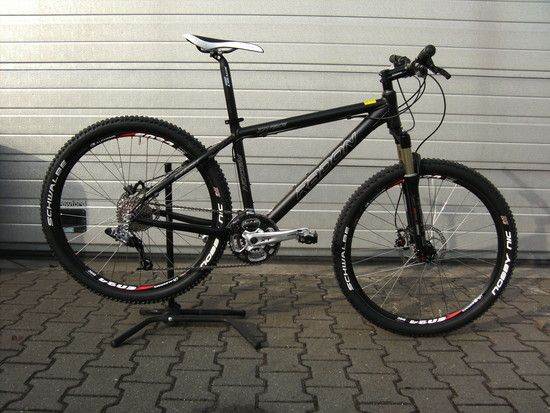 Ilse1