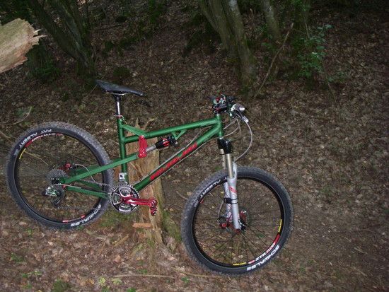 nicolai033