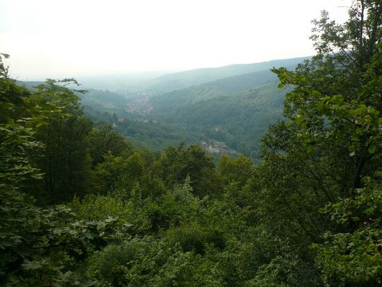 P1030377