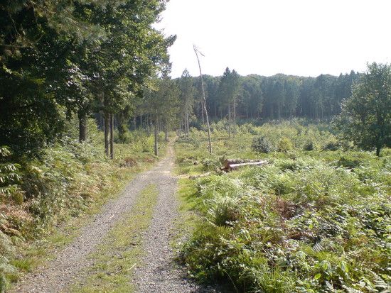 DSC00167