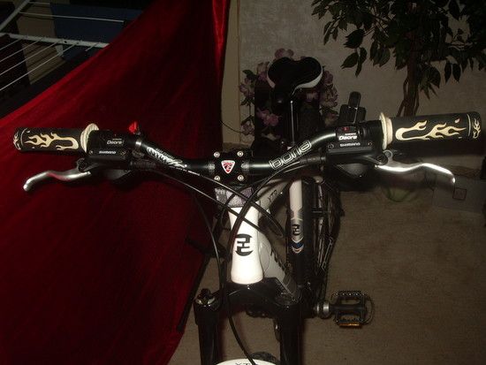 IMGP3705