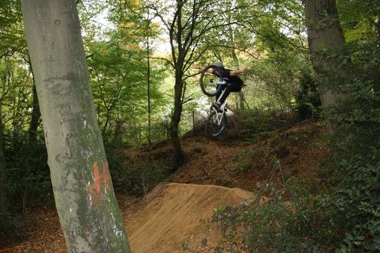 tuck by max schmoll 