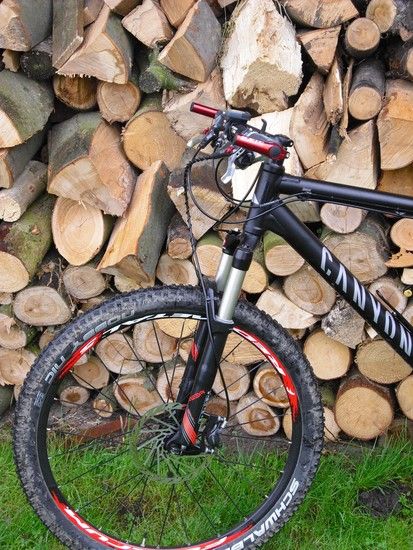 MountyRed092