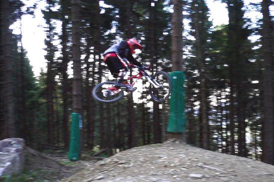 Willingen