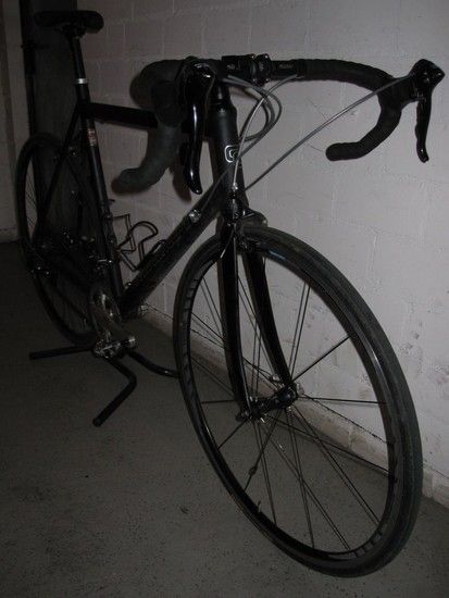 IMG 1291