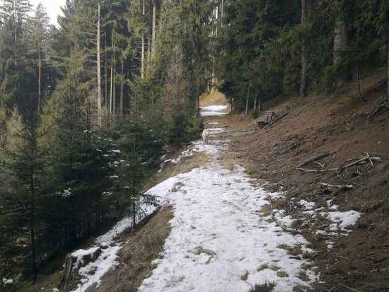 Lendorf, Kärnten