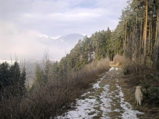 Lendorf, Kärnten