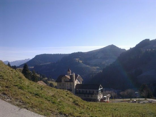 Bild0290