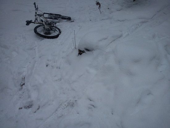 DSC00408