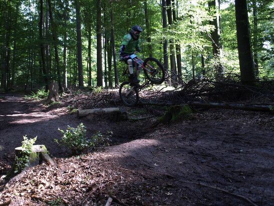 Bei uns im Wald