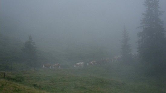 Saalbach201013