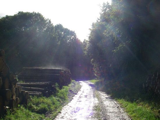 Sommerrevier0011