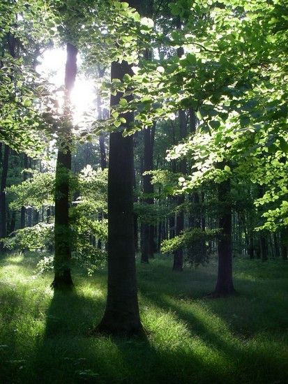 Sommerrevier0018