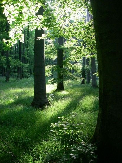 Sommerrevier0019