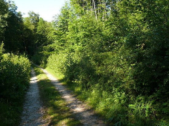 Sommerrevier0026