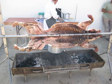 IMG 0737