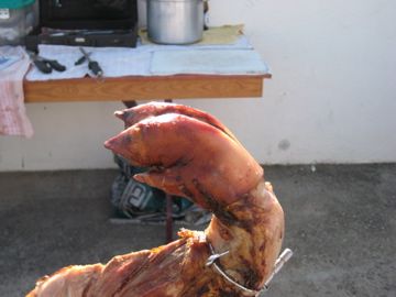 IMG 0741