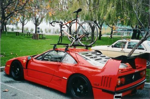 f40 lm