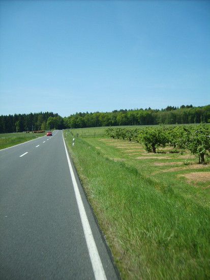 S5001267