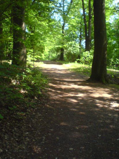 Bremen-Marßeler Wald17