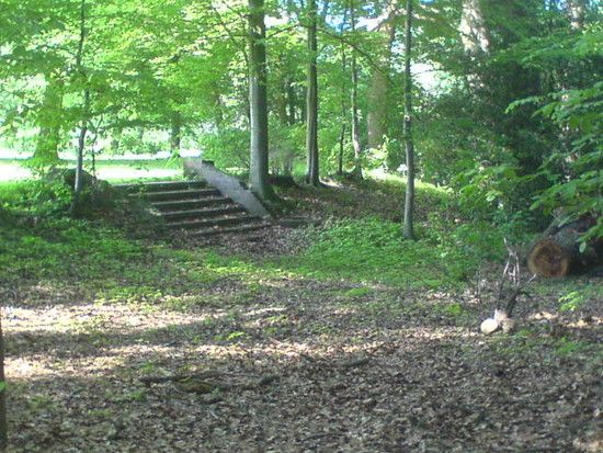 Bremen-Marßeler Wald31
