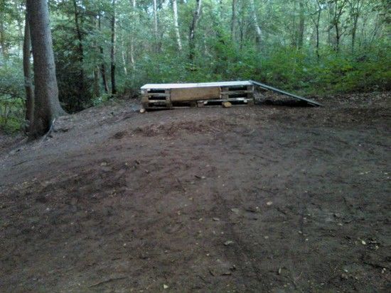 neuesausdemwald1