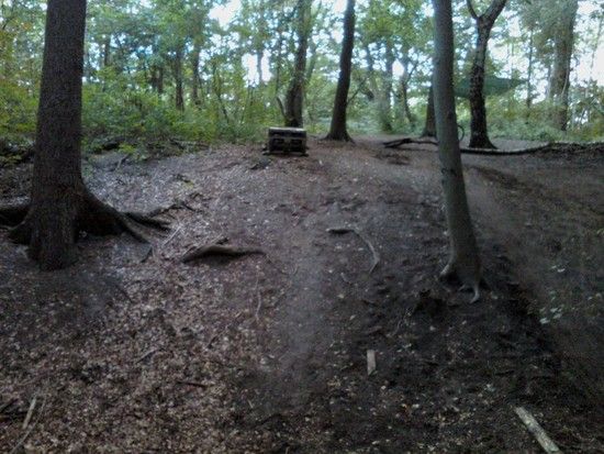 neuesausdemwald3