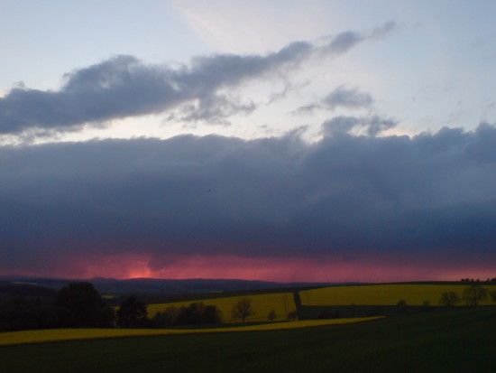 DSC02326
