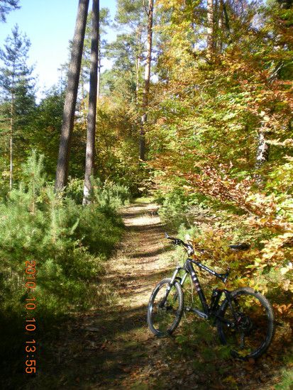 Mountainbiken2010013
