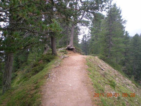 Zw. Brogles und St. Ulrich