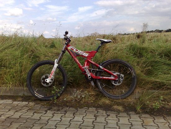 FoesMonoDHS4