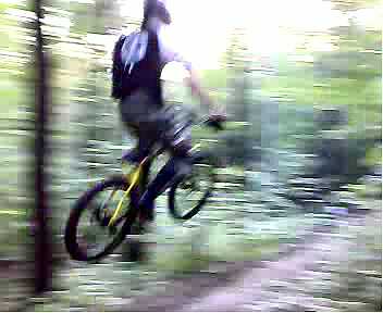 ein Bild...