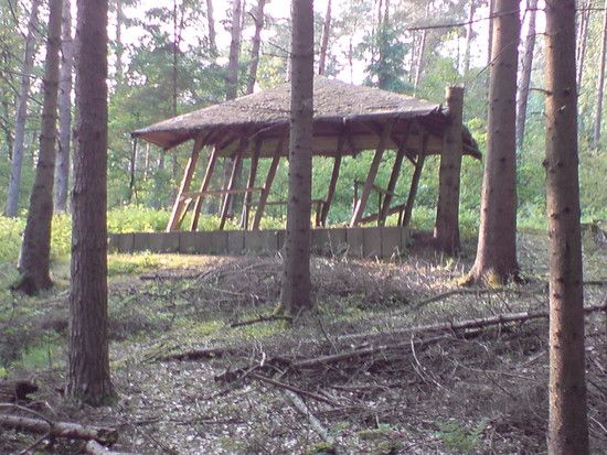 DSC00638