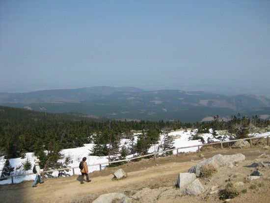 IMG 0271