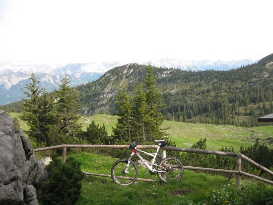 IMG 0571