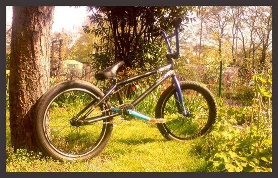Felt-Sheriff im-Garten