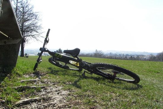 RIMG0611