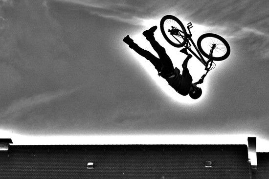 redbull8