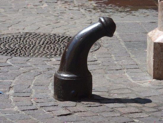P1020194 800