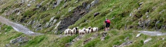 tztal 102429