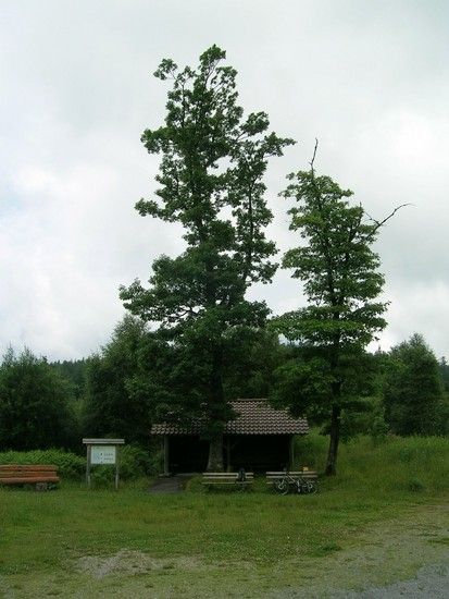 DSCN1838
