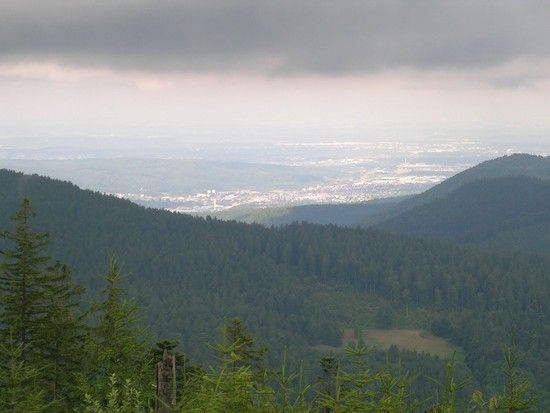 DSCN1841