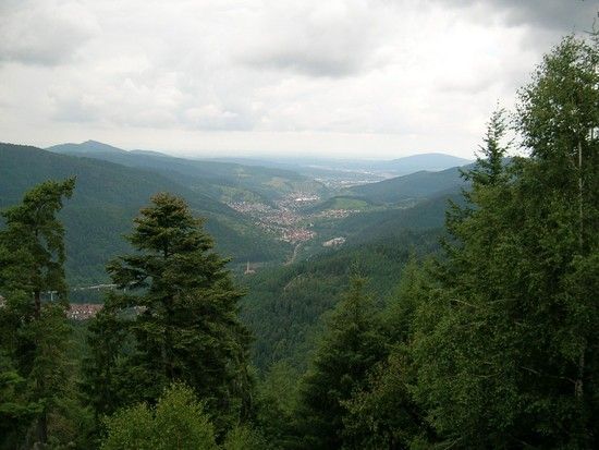 DSCN1844