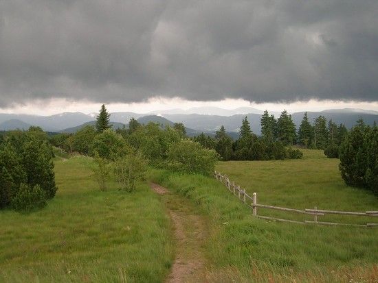 DSCN1874
